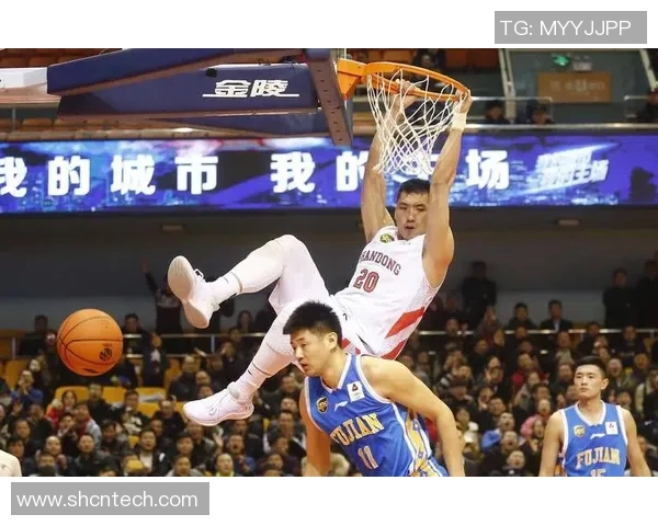 陶汉林：从篮球场上的拼搏者到社会公益的积极推动者